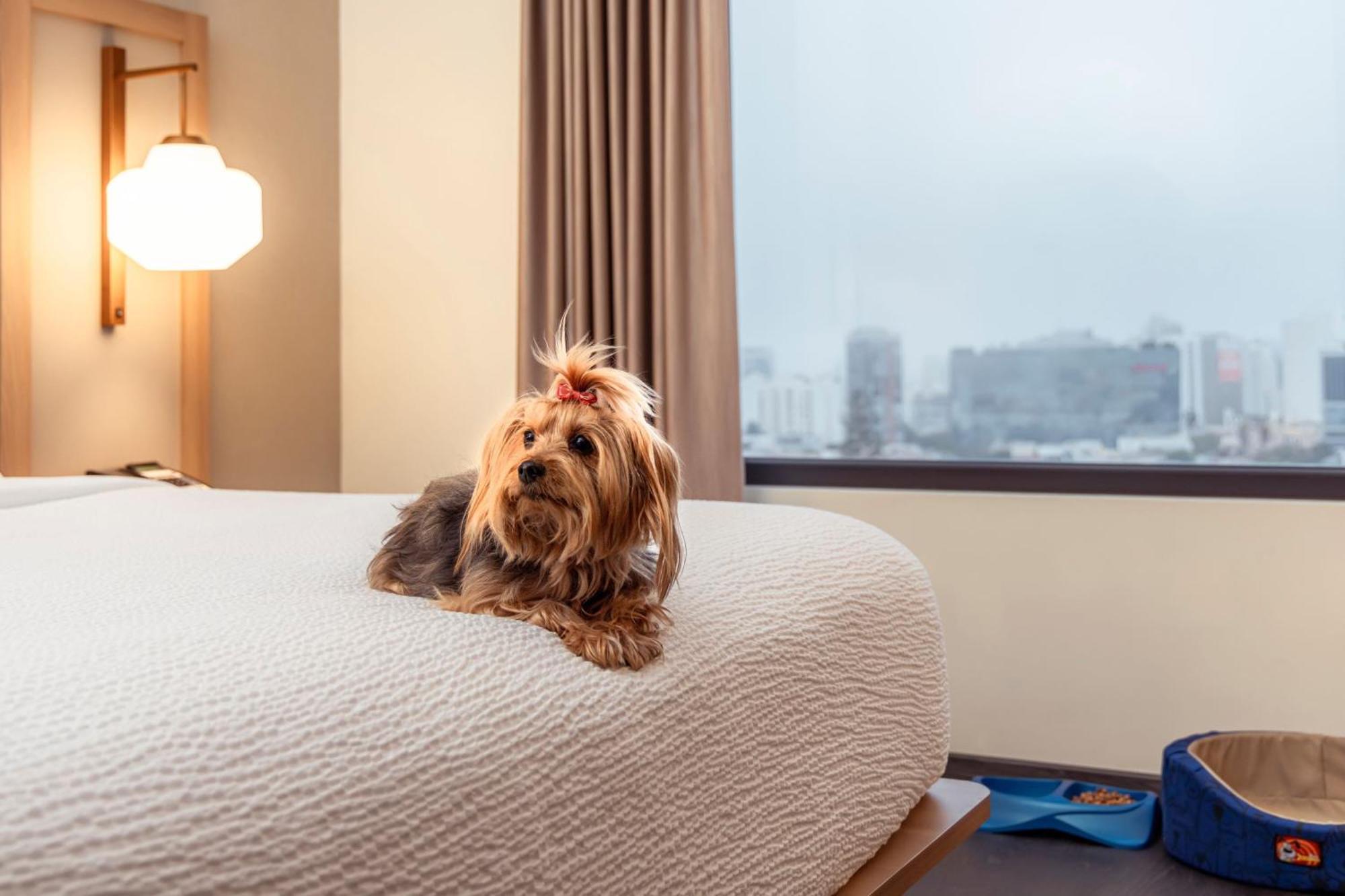 Fairfield By Marriott Lima Miraflores Exteriér fotografie